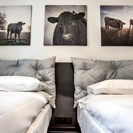 Mooo Downtown מלון דירות